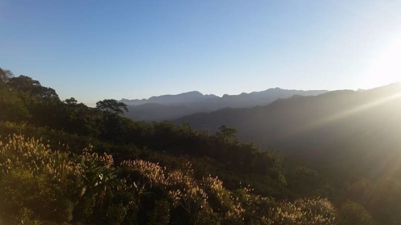 大山背休閒農場(照片出處:大山背休閒農場Facebook粉絲團)