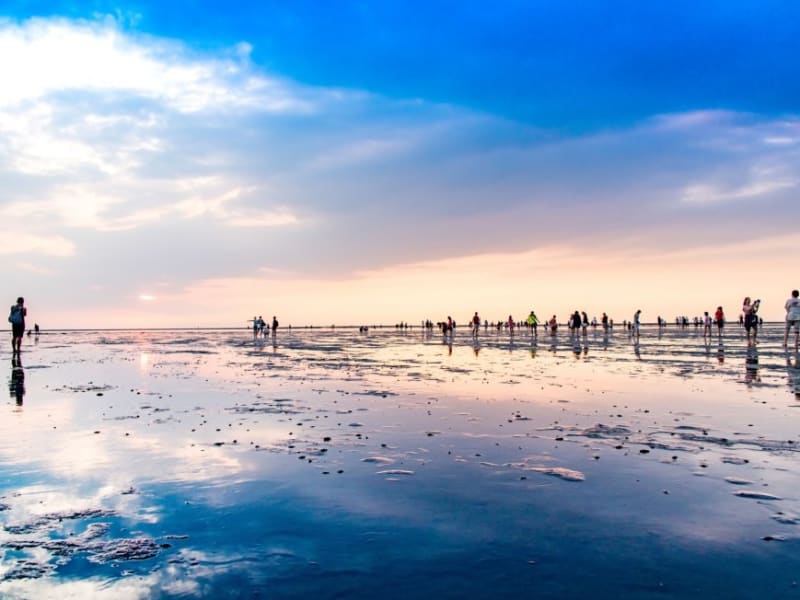 Enjoy mother nature's art at the Gaomei Wetlands