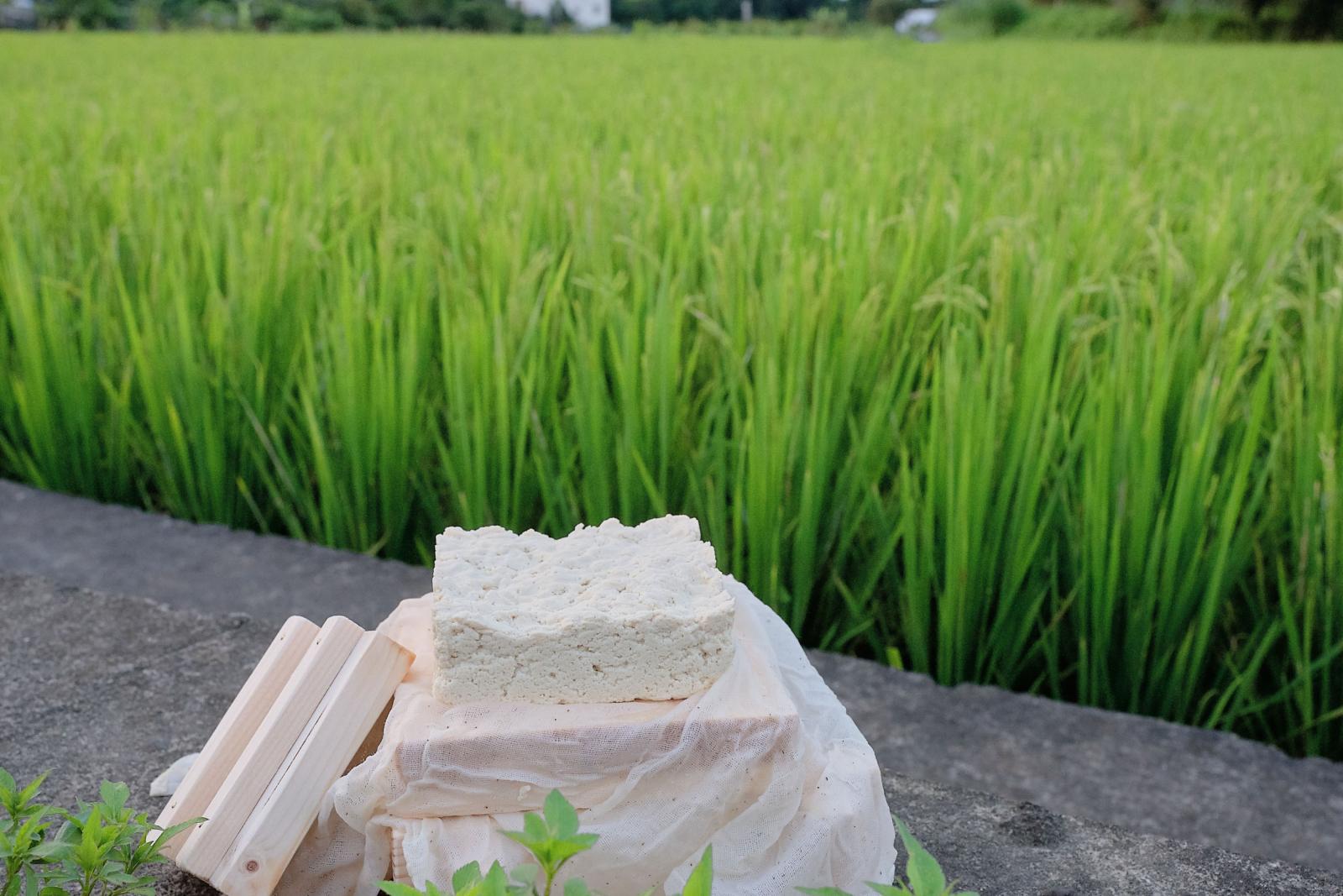 DIY Daxi Tofu in wooden mold