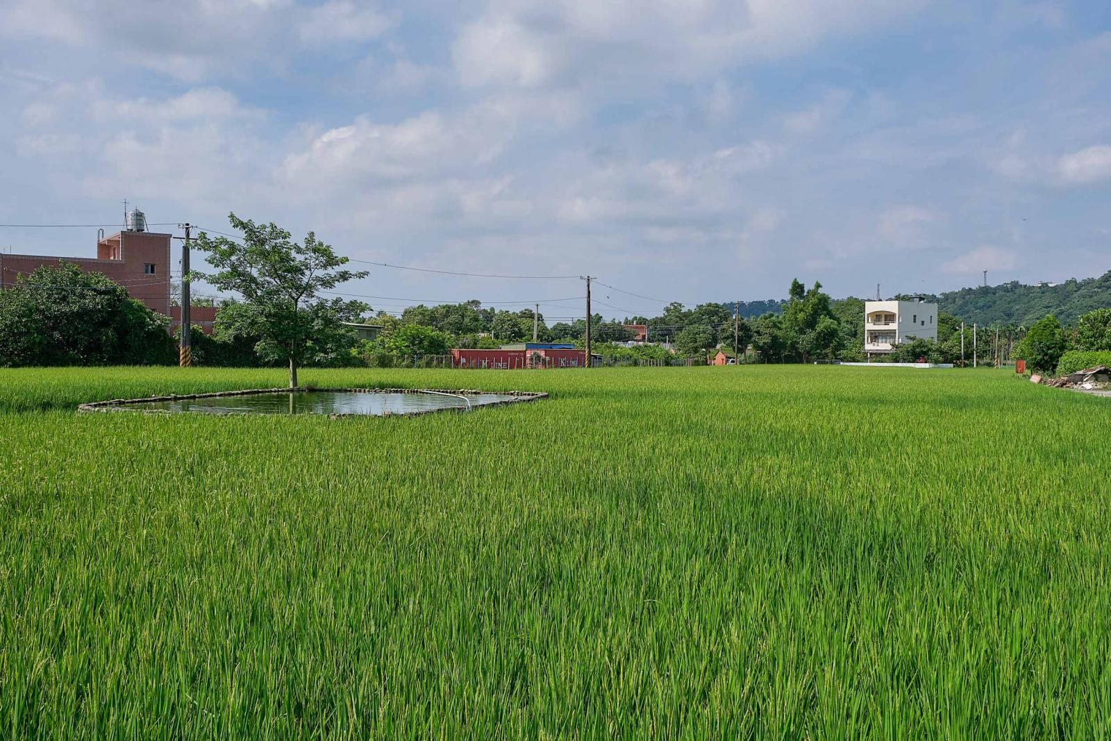 Explore the tofu capital of Daxi with MyTaiwanTour